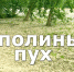 «Тополиный пух, гроза, июнь…» - Управление по делам ГОЧС