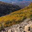 ki24yoe0ve3fx3e2b5tb58l84a56jb3u.jpeg - Primorye24.Ru