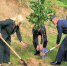 IMG_20260622_120546.png - SMI44.Ru