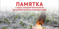 «Осторожно, тополиный пух!» - Город Куйбышев