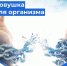 b052e29d-a793-447e-a986-4f3a0ce96af1.jpg - ГАУЗ КО ОКЦОЗШ