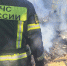 Огнеборцы потушили 29 пожаров в Тульской области на прошлой неделе - ИА Тульская служба новостей