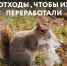 Выбирайте чистоту - сортируйте отходы! - Газета Вместе с вами