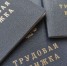 В Улан-Удэ после нагоняя прокуратуры трудоустроили 6 инвалидов - ИА Байкал-Daily