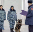 Спокойно, учения: жителей Ростова предупредили о скоплениях правоохранителей на улицах - DonDay.Ru