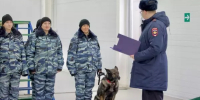 Спокойно, учения: жителей Ростова предупредили о скоплениях правоохранителей на улицах - DonDay.Ru