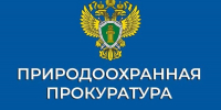 С 1 сентября меняется форма электронного сопроводительного документа на древесину - Кукморский район