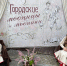 Связь времен: сотрудник  ИК-14 стала призером конкурса костюмов - УФСИН