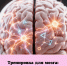 Тренировка для мозга: как оставаться в форме на долгие годы - Народное слово