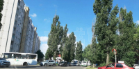 «Сегодня пипец». О пробках на левом берегу сообщили воронежцы - МОЁ! Online