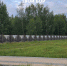 Всем любопытным перекрыли обзор - Tvoy-Bor.Ru