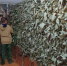 image - GazetaRB.Ru