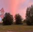 img - ЛДПР