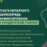 В Кондинском районе зафиксировали вспышку активности непарного шелкопряда - ИД Новости Югры