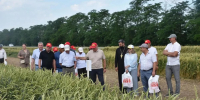 Новоселицкий округ готовится к жатве - Вечерний Ставрополь