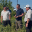 Объезд полей - Газета Северные Нивы