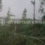 Поезда в Кушве встали из-за поваленных деревьев и опорных столбов - ОТВ