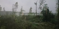 Поезда в Кушве встали из-за поваленных деревьев и опорных столбов - ОТВ