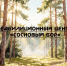 В центре реабилитации «Сосновый бор» прошёл выпускной - Народное слово