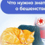 Бешенство – опасная болезнь. - Ермекеевский район