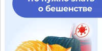 Бешенство – опасная болезнь. - Ермекеевский район