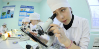 Комары заражают жителей Челябинской области опасными паразитами - Полит74