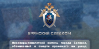Несовершеннолетний житель города Брянска, обвиняемый в смерти прохожего на улице, заключен под стражу - Следственный комитет