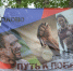Сладковский округ готовится к командному марафону «Путь к Победе» - Сетевое издание Трудовое знамя