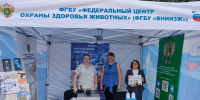 Специалисты ФГБУ «ВНИИЗЖ» приняли участие в «Дне Костромского села-2026» - Тверская МВЛ