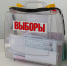 выборы, голосование Мария Смитюк, ИА PrimaMedia - KrasnodarMedia