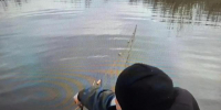 В Поморье будут судить двух рыбаков, поставивших сеть в период нереста семги - Tv29.Ru