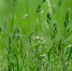 image - GazetaRB.Ru