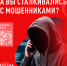 Жителей Новгородской области приглашают поделиться мнением о мерах борьбы с мошенничеством - Новгородское областное телевидение