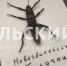 Тульский школьник собрал коллекцию экзотических насекомых с пяти континентов - ТК Первый Тульский