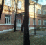 20260622.jpg - НМИЦ гематологии