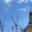 Когда камышанам можно будет поклониться Тадулинской иконе Пресвятой богородицы - Блокнот Камышин