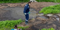 В Воронежской области агрокомпания нанесла ущерб почвам на 2 млн рублей - РИА Воронеж