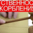 В Куюргазинском районе мужчина оштрафован за оскорбление соседки - Куюргазинский район