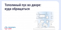 Изображение из группы «Госуслуги Дом» в соцсети «ВКонтакте» - InformPskov.Ru