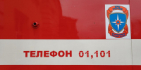 При пожарах в Псковской области с начала года погибли 38 человек - Pln-Pskov.Ru