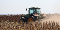Экспорт курской продукции АПК достиг 530,3 млн долларов - Городские Известия