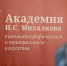Академия Никиты Михалкова приглашает заполярных актеров, режиссеров и продюсеров на обучение - Министерство культуры