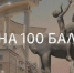Выпускник из Новомосковска набрал 200 баллов на ЕГЭ - ИА Новомосковск Сегодня