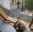 Погиб 2-летний малыш, который выпал из окна 7-го этажа многоквартирного дома в Ростове - Газета Таганрогская правда