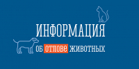 Информация об отловленных животных - Администрация г. Апатиты