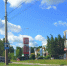 В одном из районов Карелии бензин продают только организациям - StolicaOnego.Ru