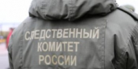 В Кайболово мужчина похитил женщину, угрожая ей ножом - ЛенОблИнформ