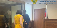 Убийство собаки в Щербинке: суд вынес приговор Сергею Паю - Chehov-Vid.Ru