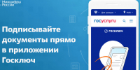 Почти 200 тысяч жителей Ленобласти оформили электронную подпись через «Госключ» - Online47.Ru