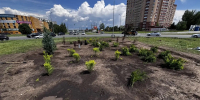 В Тольятти на кольцевых развязках высаживают цветы и устанавливают новые световые опоры - TLT.Ru